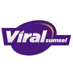 Vinyl.viralsumsel.com